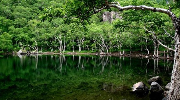 長白山西坡、十五道溝-望天鵝風景區(qū)雙飛4日