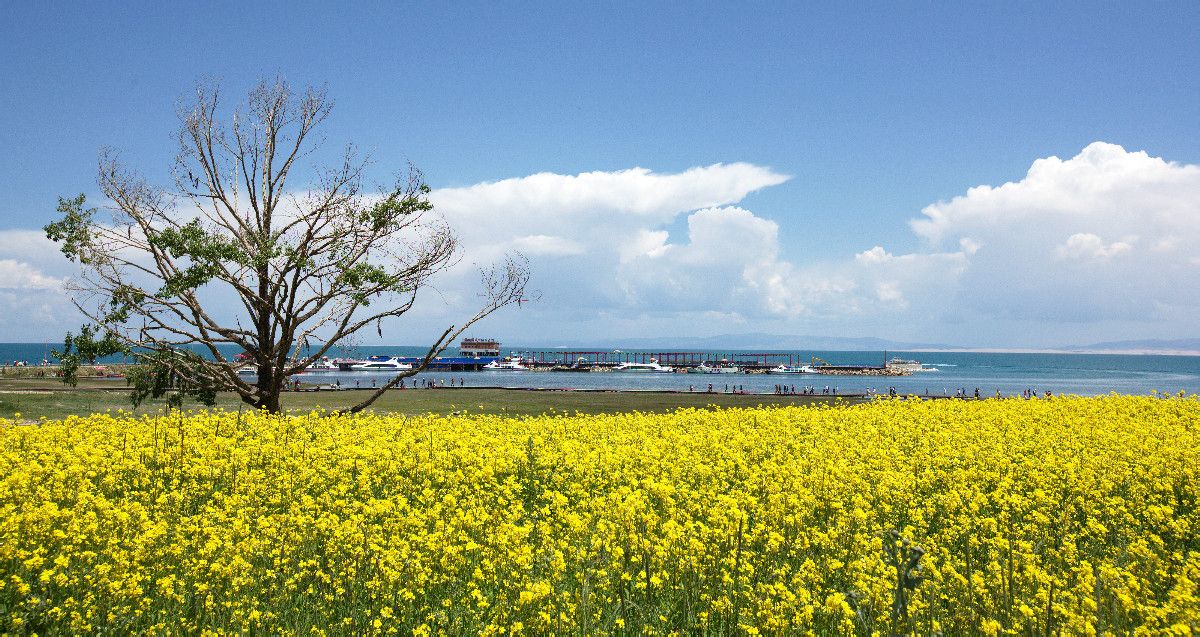 青海 寧夏雙飛5（北京成團(tuán)，包機(jī)）