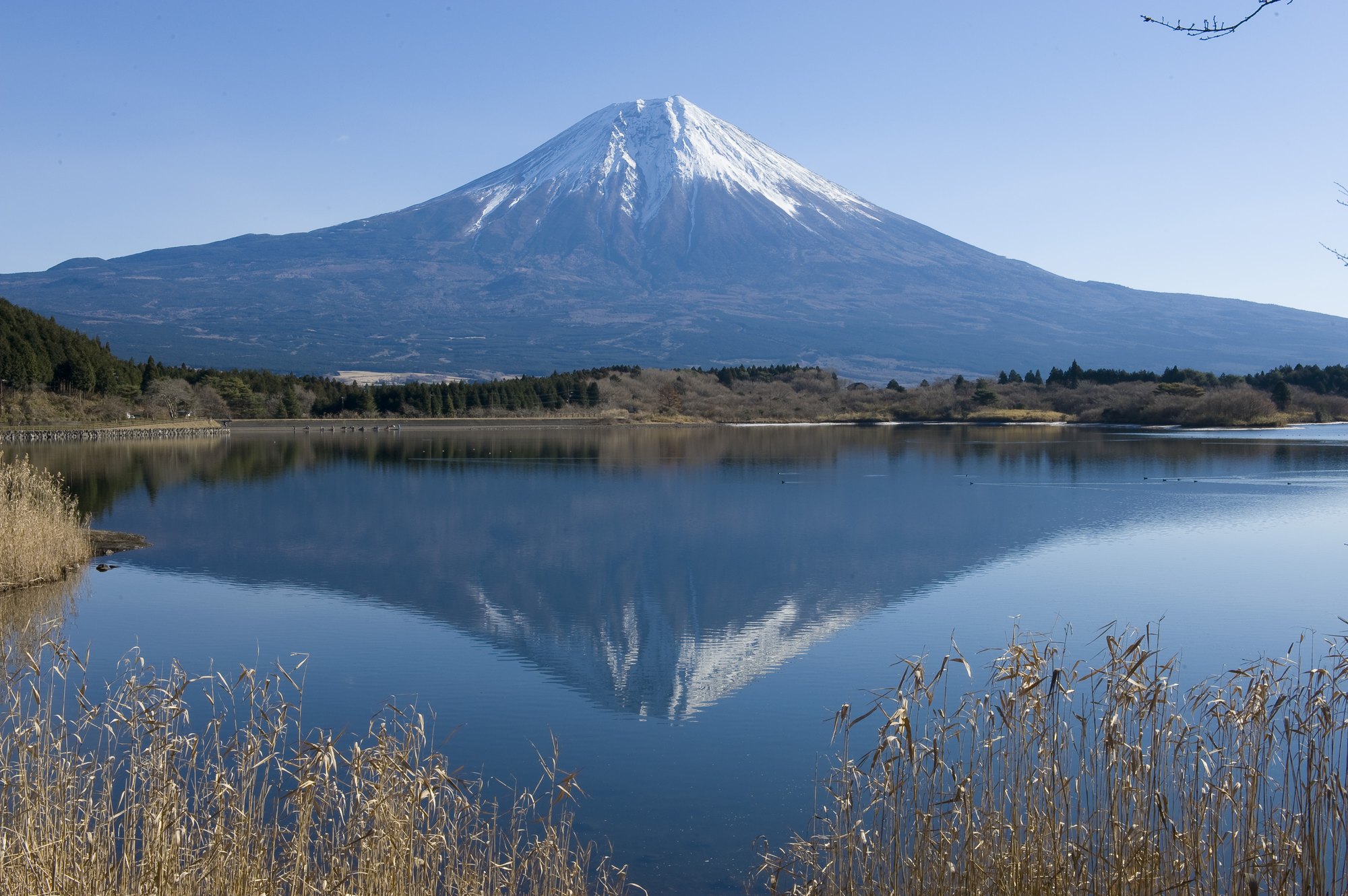 東京、箱根、京都、大阪6日**三大樂(lè)園の3~4星酒