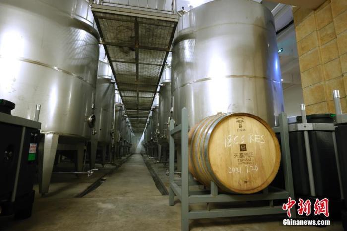 天山南北&ldquo;掛明珠&rdquo;新疆正&ldquo;釀&rdquo;葡萄酒大產(chǎn)業(yè)