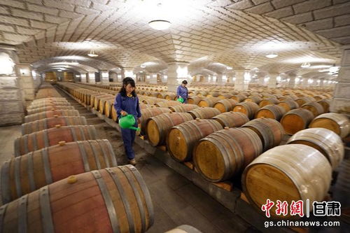 嘉峪關 觀城 酒鋼不僅生產(chǎn)鋼鐵 還有亞洲最大葡萄酒窖
