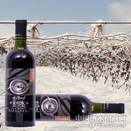 紫隆山紅寶石冰酒 品味時光凝萃，共創(chuàng)財(cái)富未來——通化紫隆山葡萄酒廠火熱招商